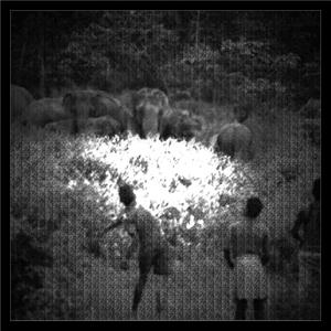 乱象demo(prod by j3lvlYounger)