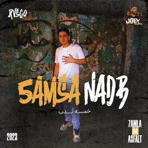 5AMSA NADB