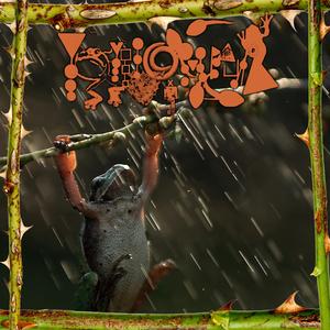 The Erosion Of Common Decency