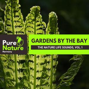 Night with Ocean Waves