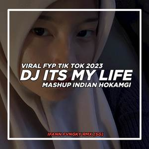 Dj Its My Life X Indian Mashup Old Enakeun