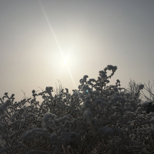 还有什么（Bounce Track）