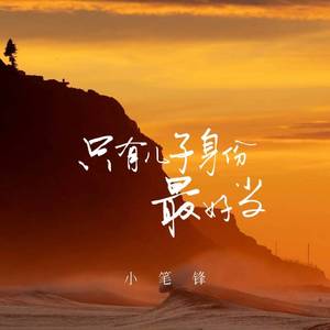 只有儿子身份最好当