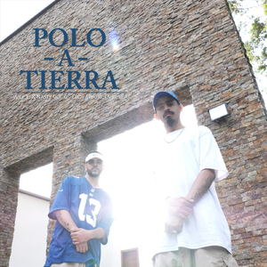 Polo a Tierra
