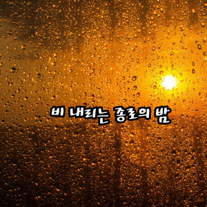 비 내리는 종로의 밤