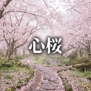 心桜