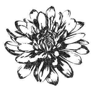 Free Flowers