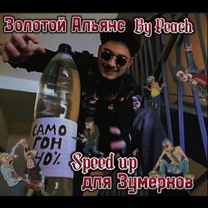 РИТУАЛЬНЫЕ УСЛУГИ (Speed Up + Reverb)