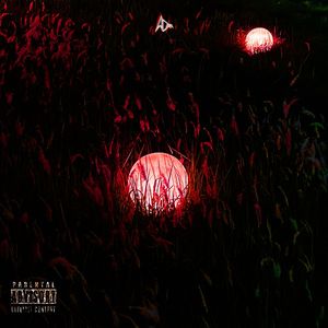 wonderland (prod.mory)