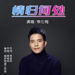 情归何处 (伴奏)