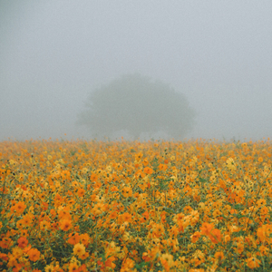 그리고 봄 (feat. 지현)