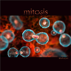 Mitosis