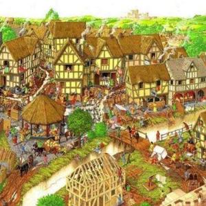 千层面大道666号