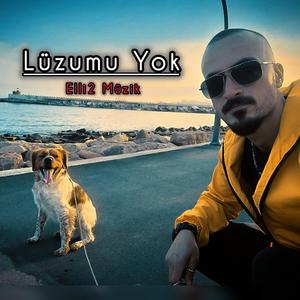 Lüzumu Yok