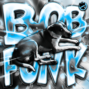 BOB FUNK