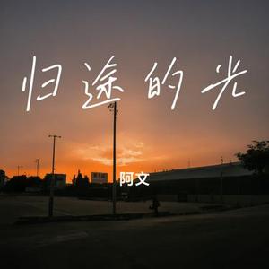 归途的光 (Cover 卢润泽)