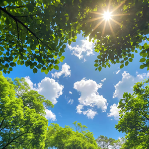 美好的心情（钢琴版）