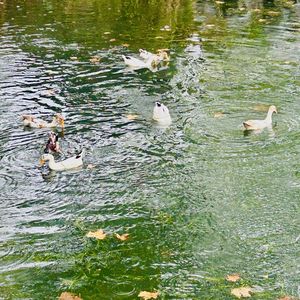 在这样一个下午我想什么事都先别发生