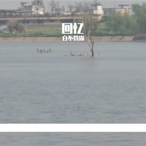 启航 伴奏