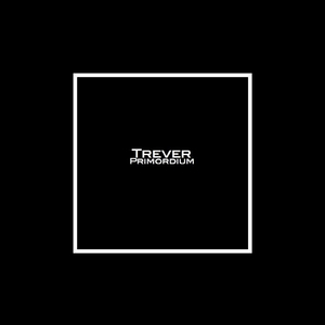 The Human Experience