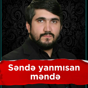 Sende Yanmisan Mende