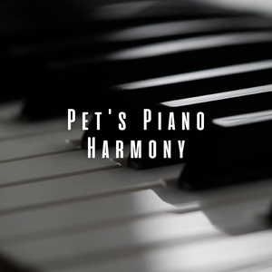 Serene Paw Pianissimo