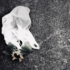 淡くて脆い、きみと僕