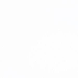 早期作品【已售出】