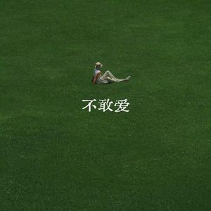 不敢爱