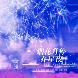 烟花升停在星夜