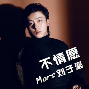 刘子豪 - 不情愿 伴奏