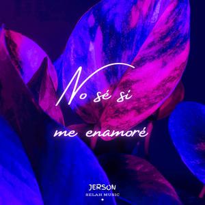 No sé si me enamoré