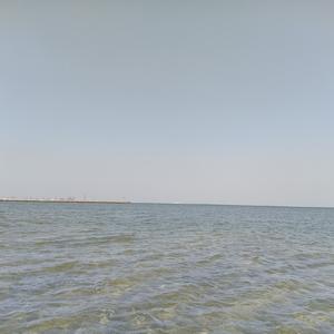 雪怕太阳草怕霜