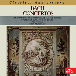 Concerto in G Minor, BWV 1056R:II. Largo
