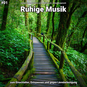 Instrumentalmusik gegen Panikattacken