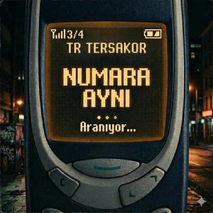 NUMARA AYNI