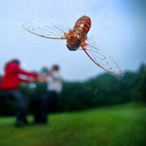 I'm Going to Be a Princess