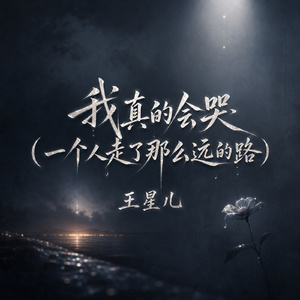 我真的会哭(一个人走了那么远的路)