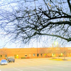 Fortunes Faded Quickly