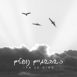 כשהשמיים נופלים