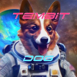 Dog Barking Aggresively