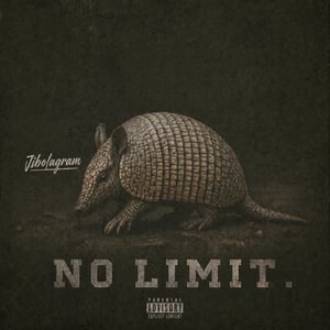 No Limit