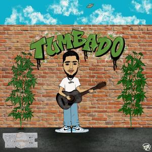 Me Enamore (feat. Noemi)