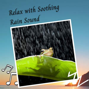 Relax with Soothing Rain Sound - 3 Hours