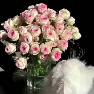 现在完成时(prod.yon)