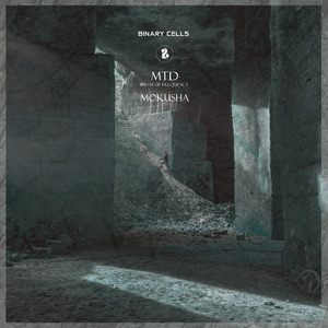 Contort (Original Mix)