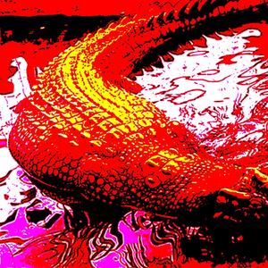 Lolong
