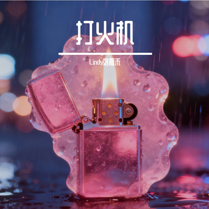 打火机Cover Penny