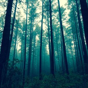 Inspired ambient