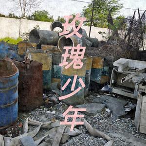 玫瑰少年（男版）